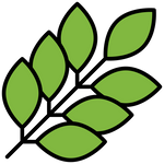 Eucalyptus-Essential-Oil-Icon