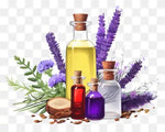 Lavender-Essential-Oil-Icon